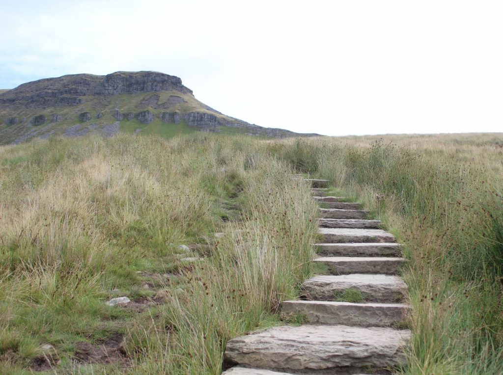 Stone steps leading to Pen-y-Ghent