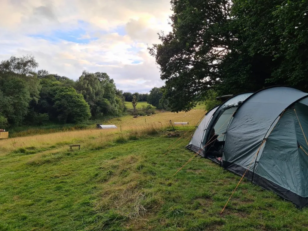 An image of a large green tent (Vango Vista 800) pitched in a beautiful hay meadow from a blog post about Eco Camping in North Wales by The Wandering Wildflower