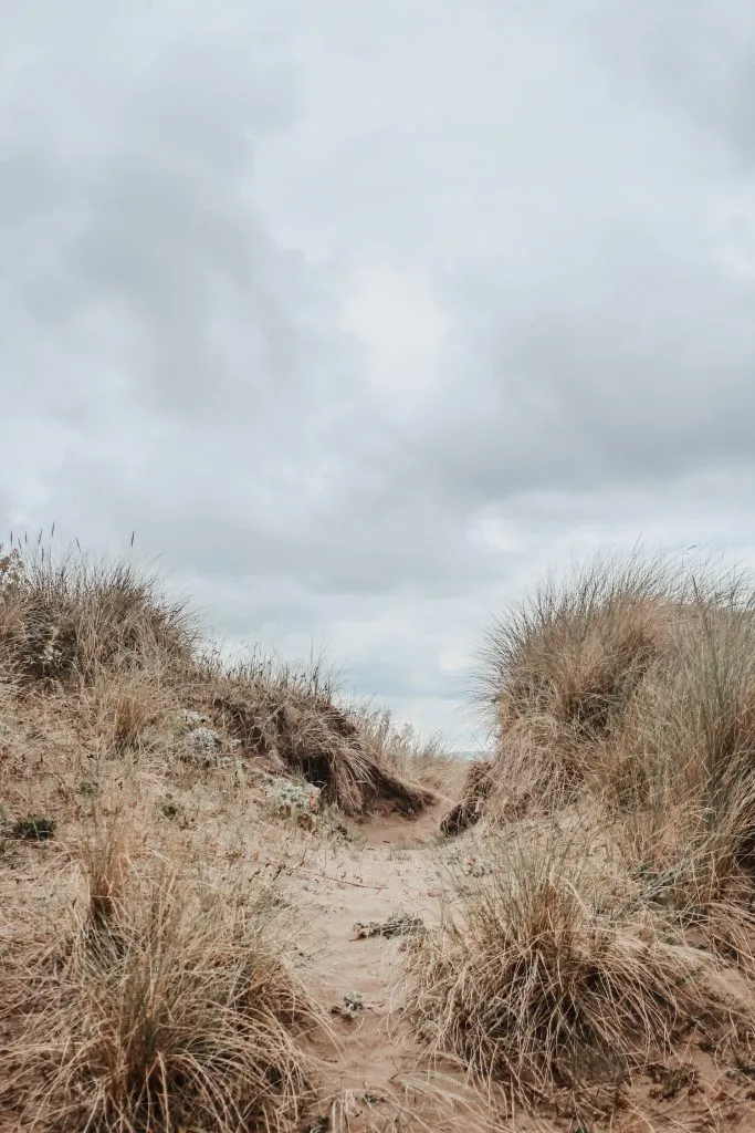 Sand dunes on Conwy Morfa beach