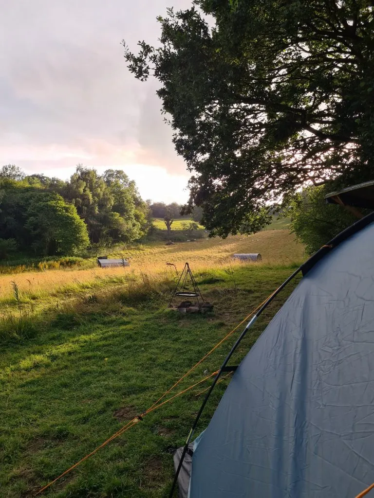 Eco Camping in North Wales – Wild Cherry Camping