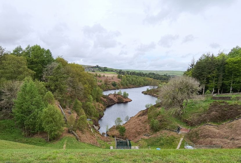 Ramsden Rocks Brownhill & Ramsden Reservoir Circular Walk | 3 Miles