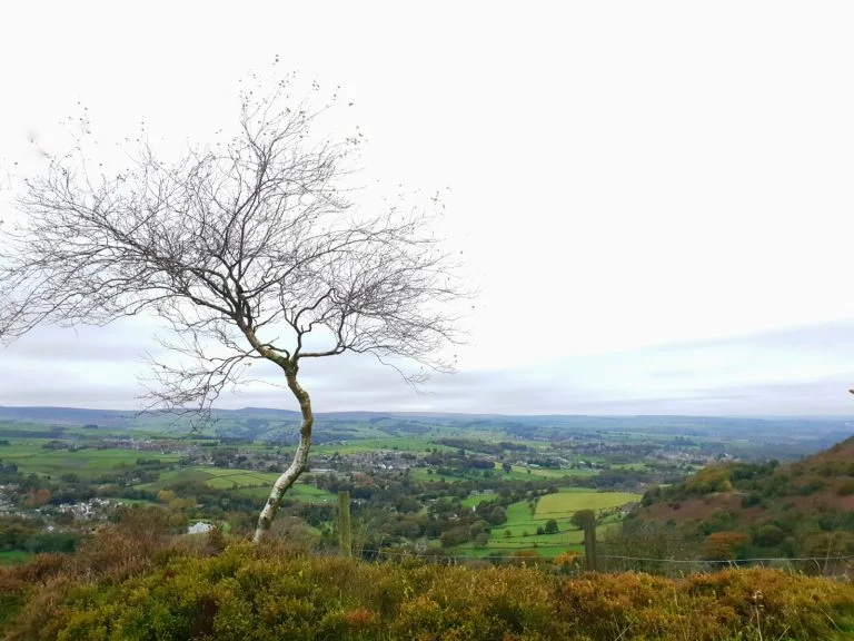 Cheese Gate Nab Circular Walk with Kids - Easy Walks in Holmfirth - The Wandering Wildflower