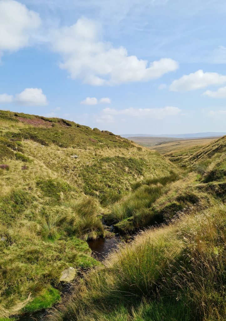 Hern Clough, a small moorland stream