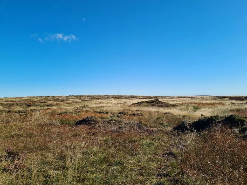 Open moorland at Featherbed Moss on the way to the trig point, looking back towards Holme Moss