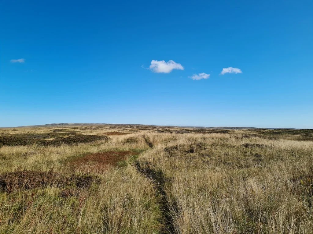 The path on the way to Featherbed Moss trig point