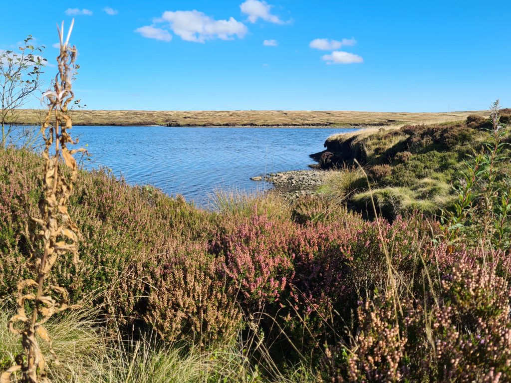 Chew Reservoir near Featherbed Moss