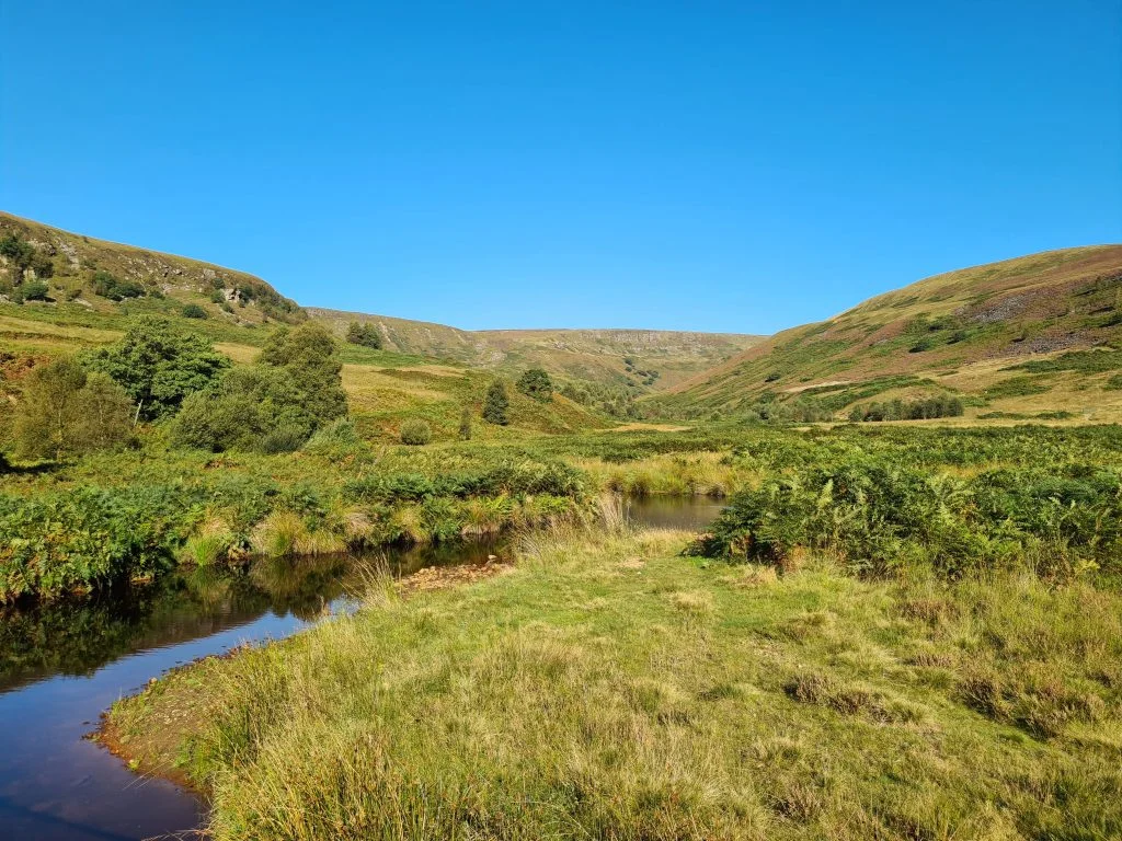 Views towards Bareholme Moss from the Crowden Valley - The Wandering Wildflower