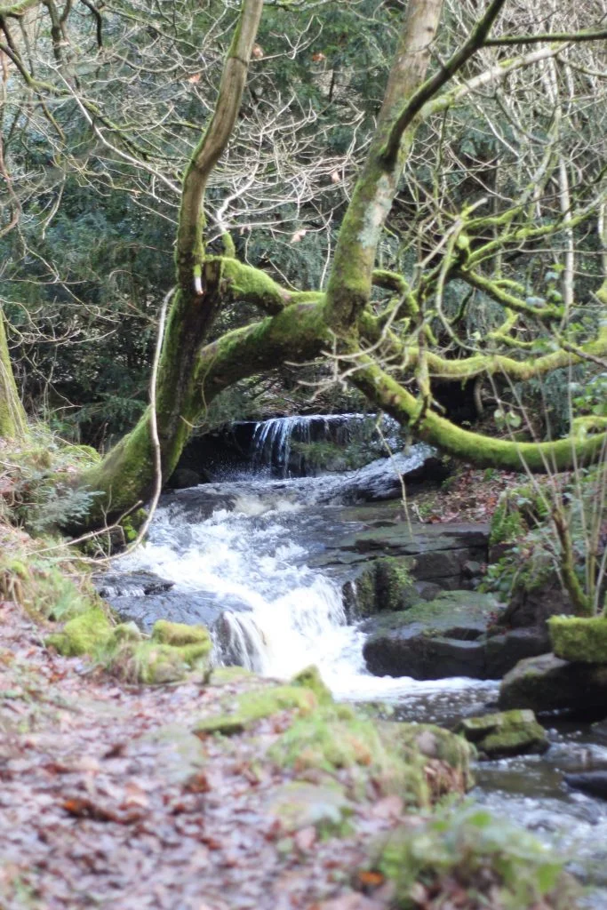 Waterfall near Langsett Reservoir - The Wandering Wildflower Family Hiking Blog