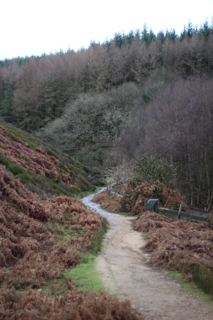 Winter Colour at Langsett Reservoir - The Wandering Wildflower Family Hiking Blog