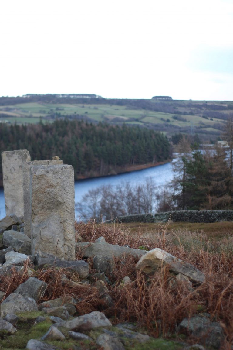 Langsett Reservoir Circular Walk - View over Langsett Reservoir - Hikes with Kids - The Wandering Wildflower