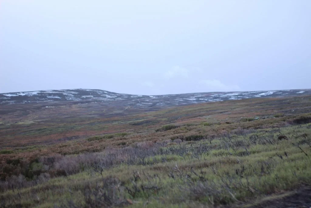 Moorland near Langsett Reservoir - The Wandering Wildflower Family Hiking Blog
