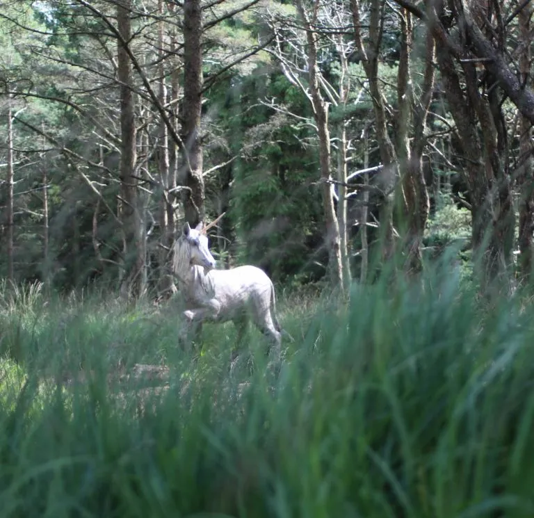 Pendle Sculpture Trail | 3 Miles