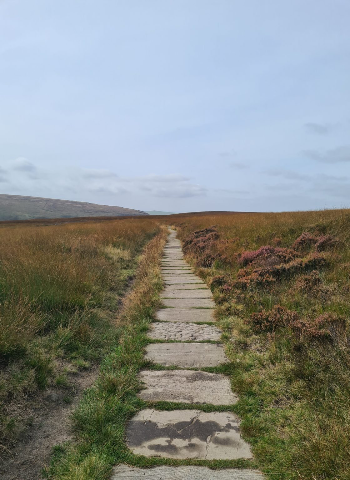 Pule Hill Circular Walk 6 Miles