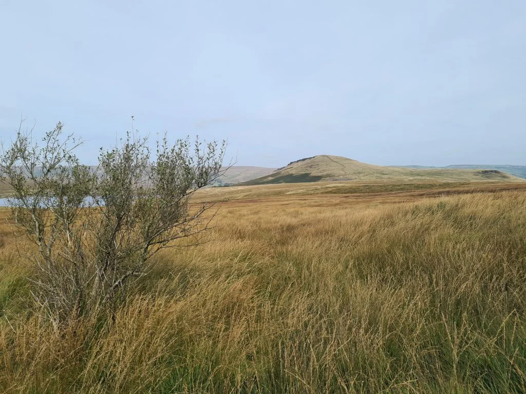 Pule Hill from Black Moss Reservoir - The Wandering Wildflower