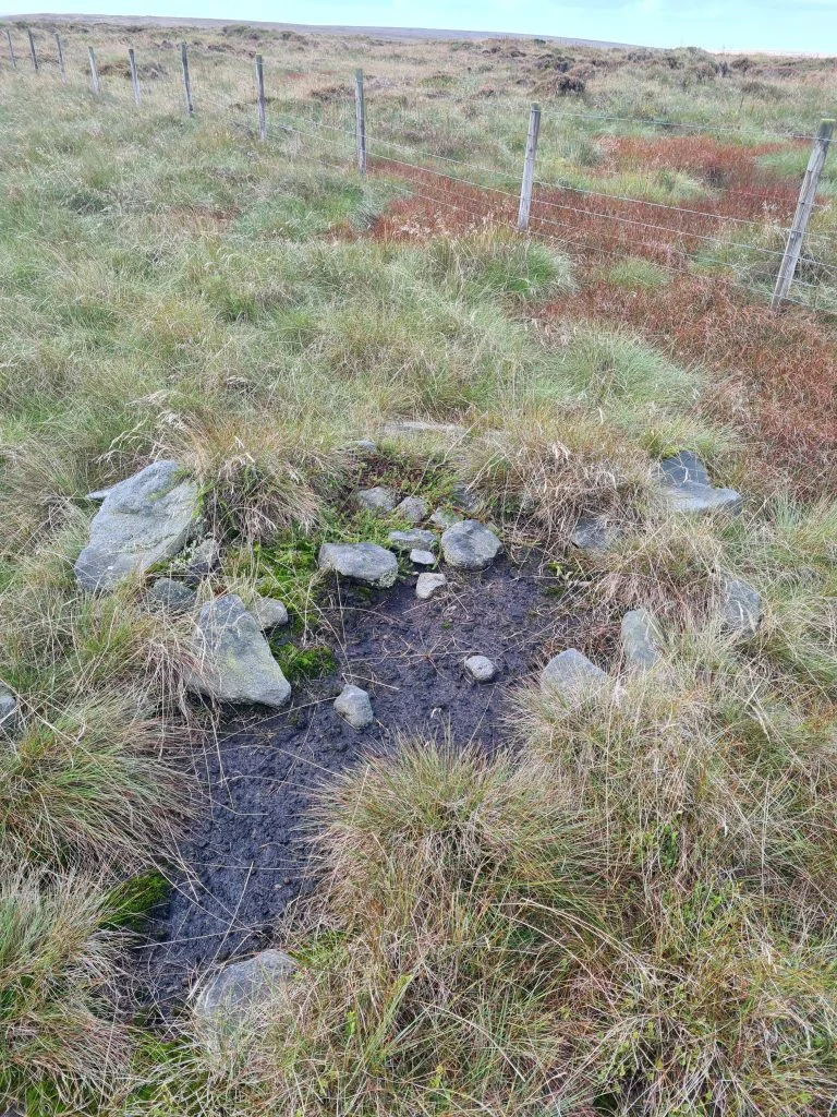 Black Chew Head summit "cairn" - or what's left of it! The Wandering Wildflower