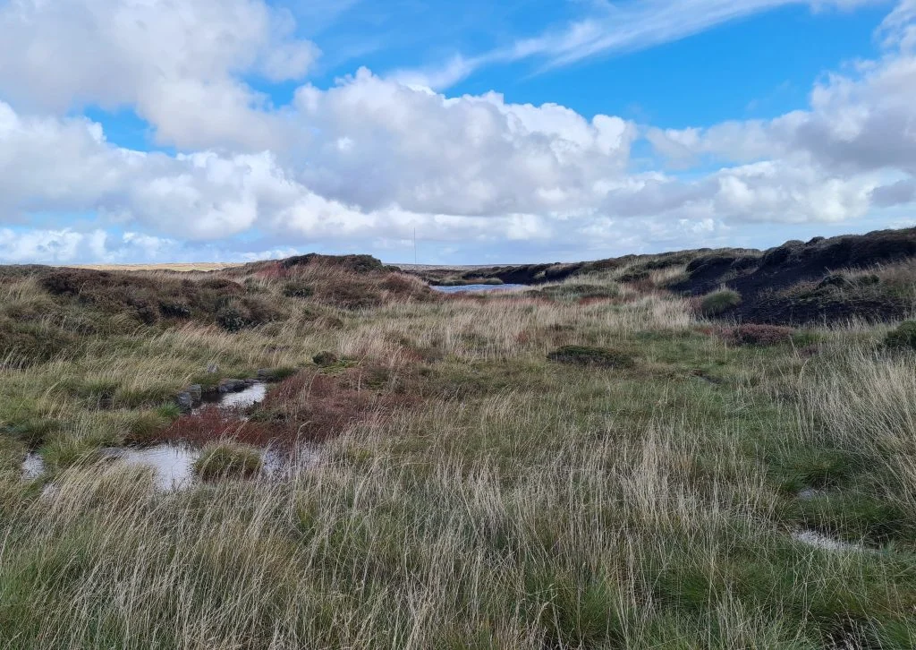 Views from near the summit at Black Chew Head - The Wandering Wildflower