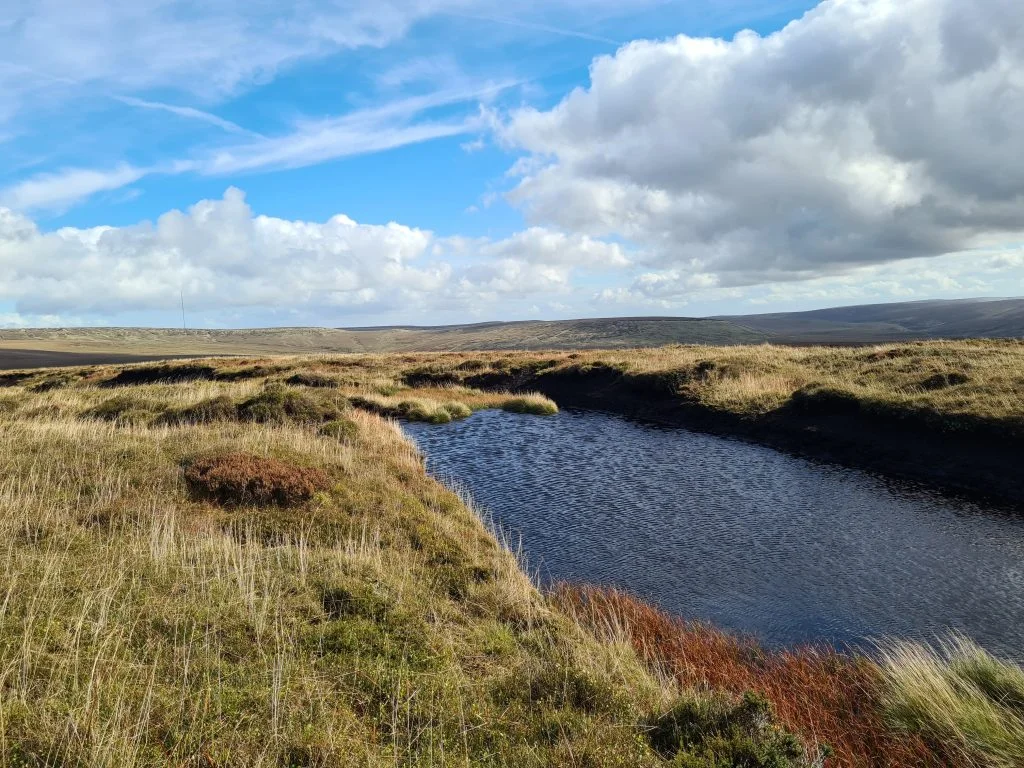 Tarn near the summit of Black Chew Head - The Wandering Wildflower