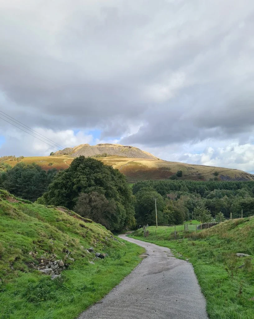View toward Crowden Castle or the old Crown Quarry - The Wandering Wildflower