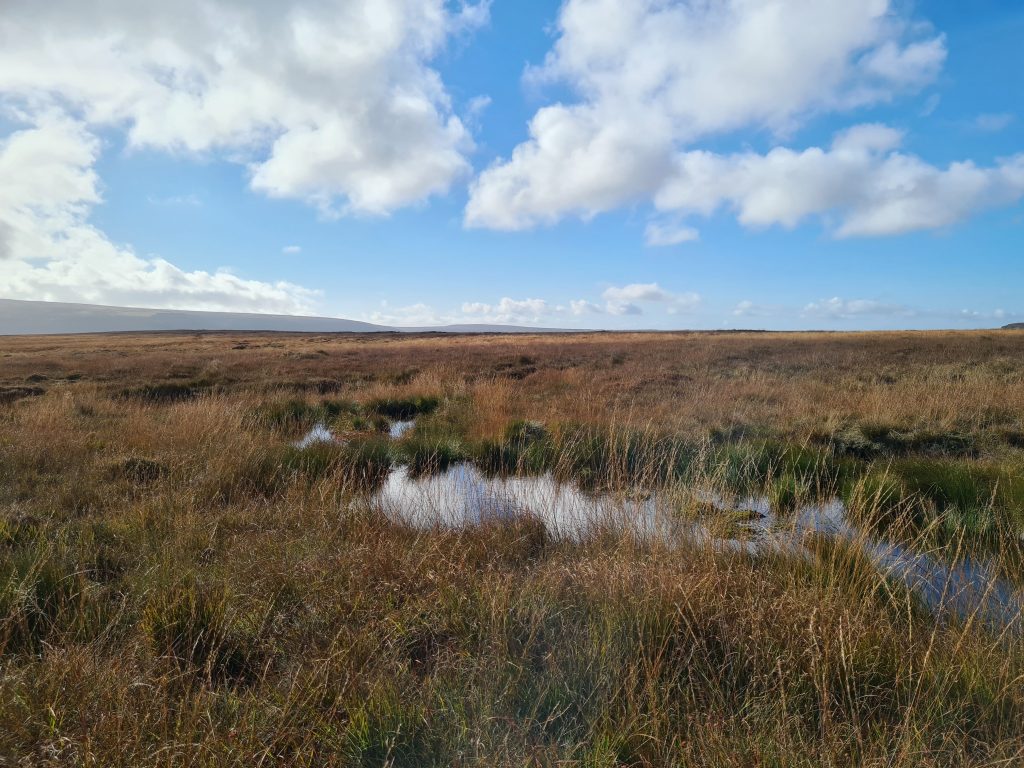 Very boggy moorland at Hey Moss, Peak District