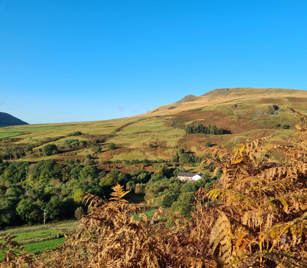 Crowden Valley in Autumn