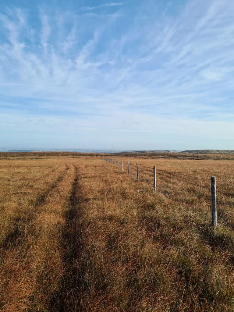 Boundary fence near Britland Edge Hill
