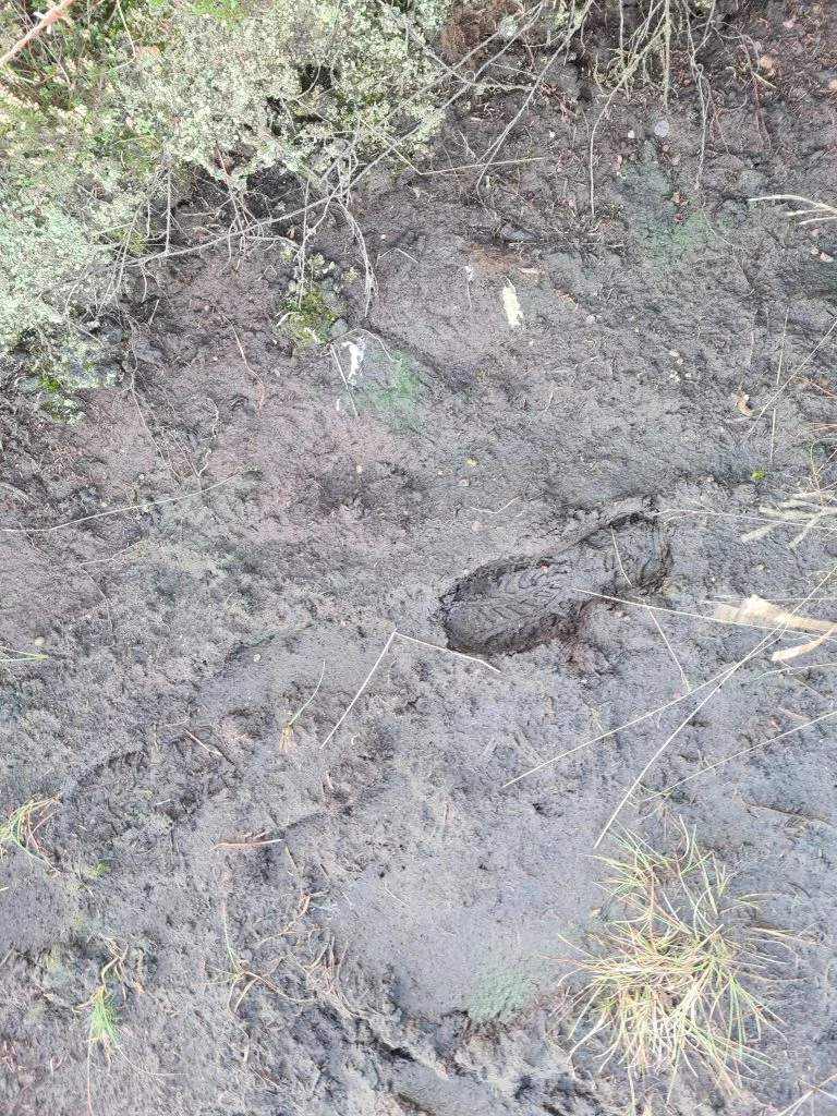 Footprint in the peat bog at Dead Edge End