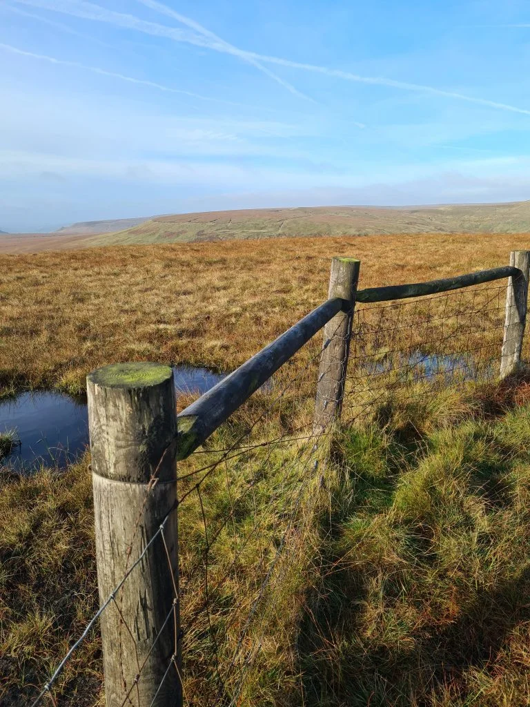 Britland Edge Hill summit - Peak District Peak Bagging