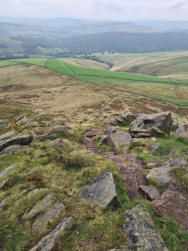 Path coming down Kinderlow End. It's really steep!