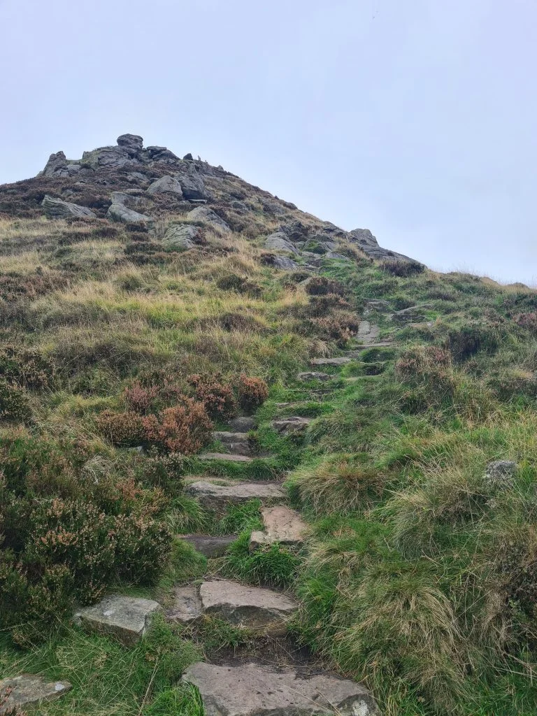 Path coming down Kinderlow End. It's really steep!