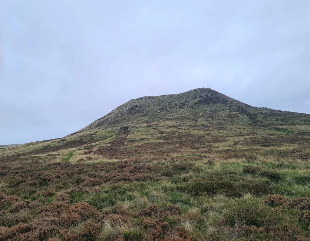 Kinderlow End - The Wandering Wildflower