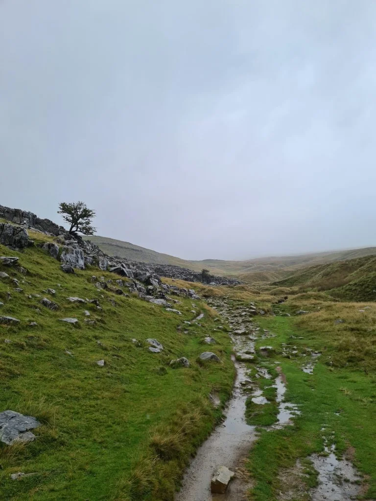 Crina Bottom, at the foot of Ingleborough