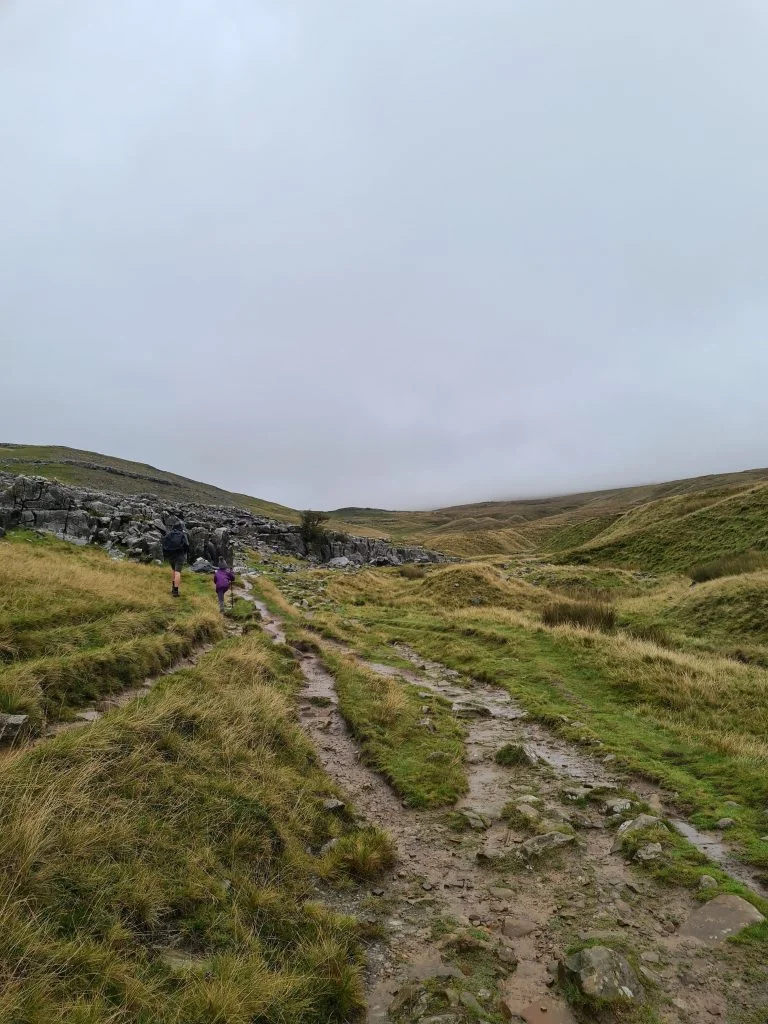Crina Bottom, at the foot of Ingleborough