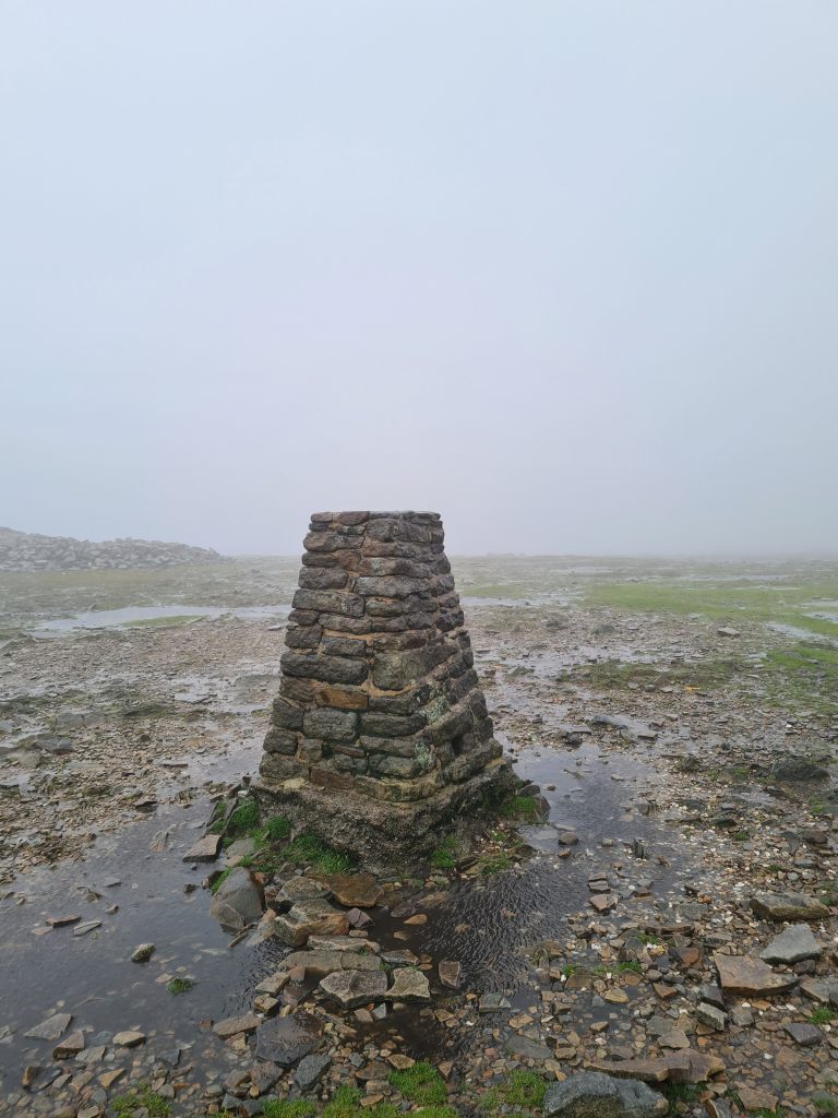 Ingleborough summit trig point - The Wandering Wildflower