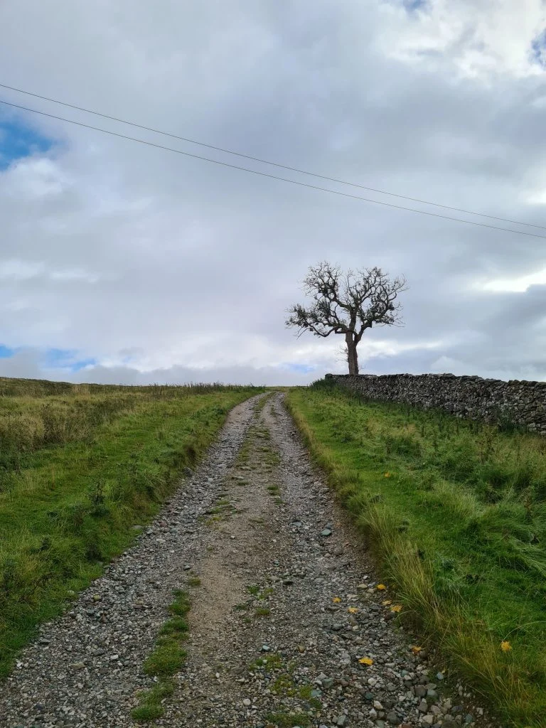 Fell Lane. Ingleton on the way to Ingleborough