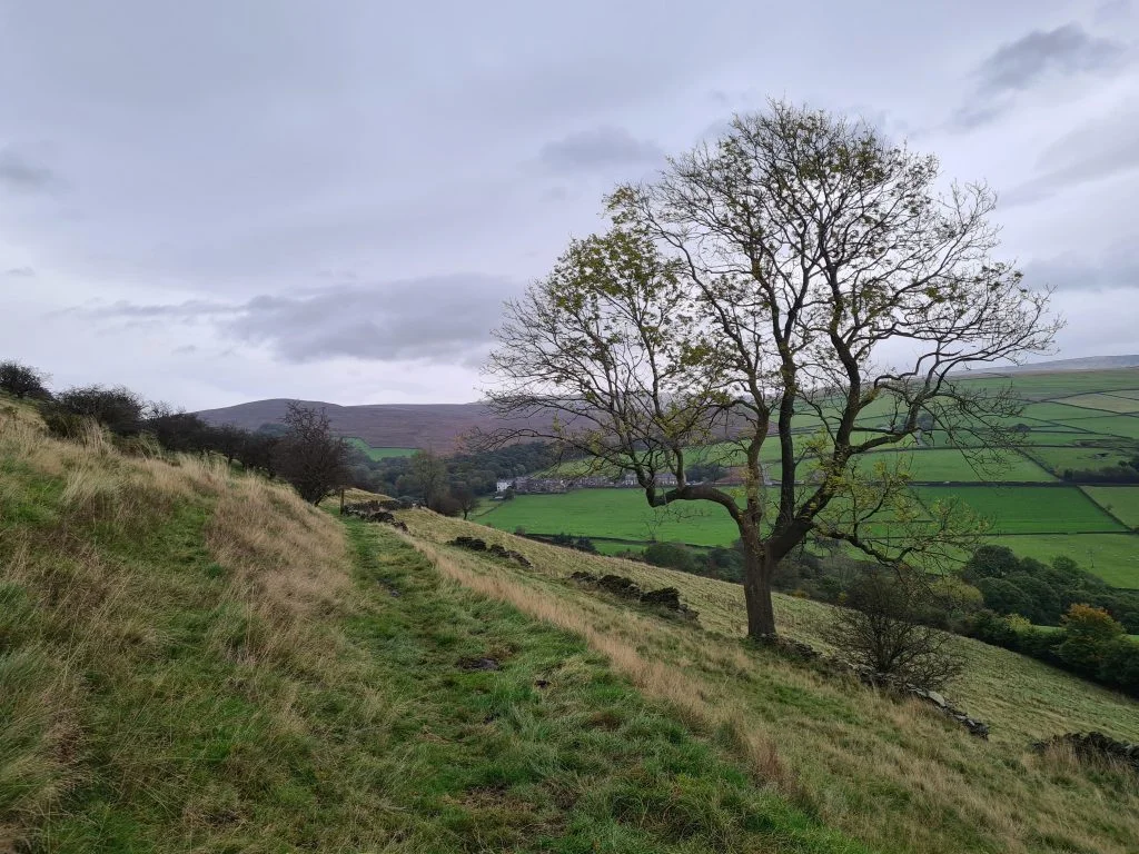 Beautiful English countryside near Lantern Pike in autumn - The Wandering Wildflower
