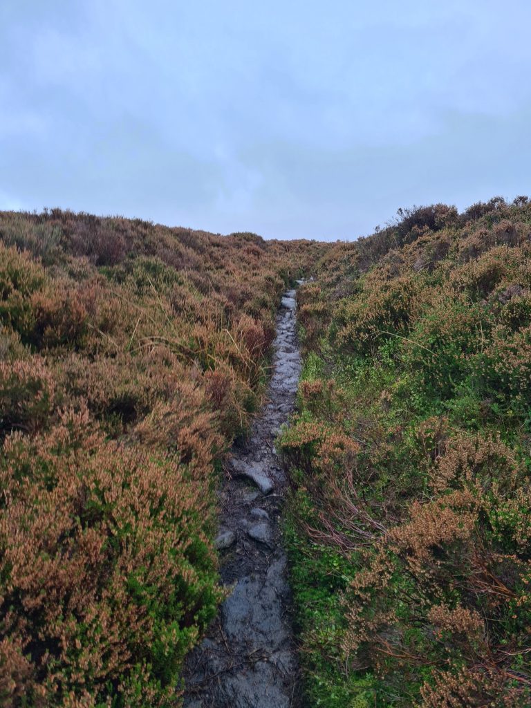 Path to Harry Hut trig point over Chunal Moor - The Wandering Wildflower