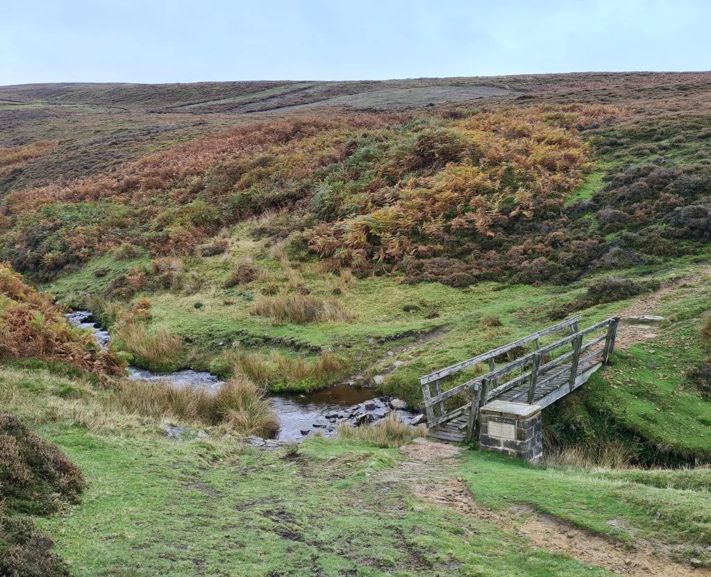 Wooden bridge over Hollingworth Clough - The Wandering Wildflower