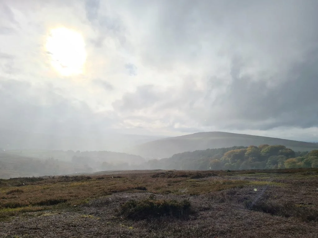 Views over Middle Moor - The Wandering Wildflower