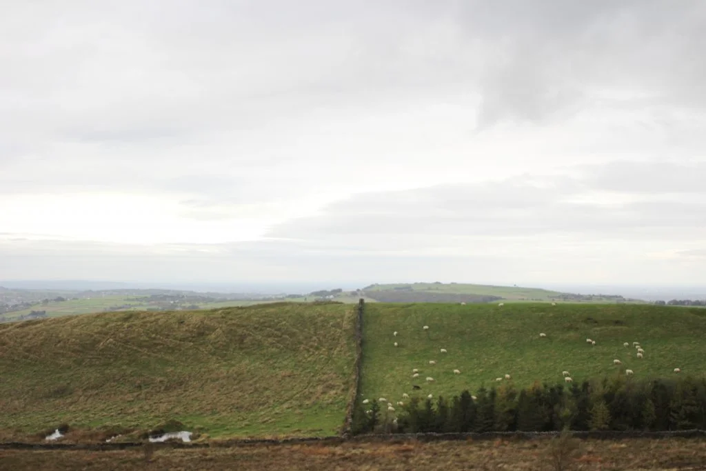 View of English countryside and the field containing Lantern Pike trig point - The Wandering Wildflower