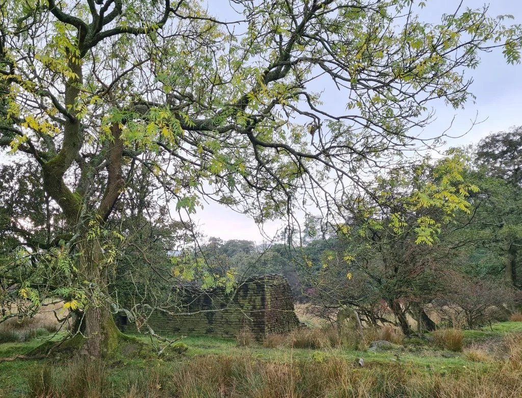 Old abandoned barn near Otter Brook - The Wandering Wildflower