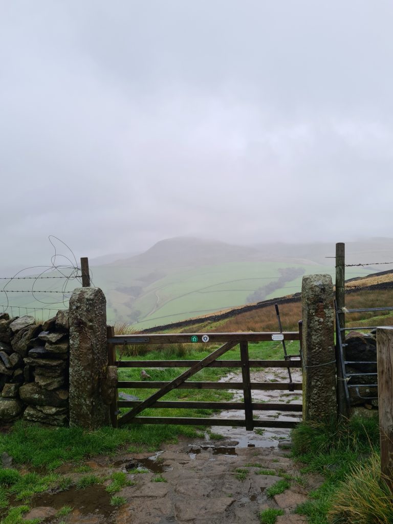 Rain soaked wooden gate in farmland