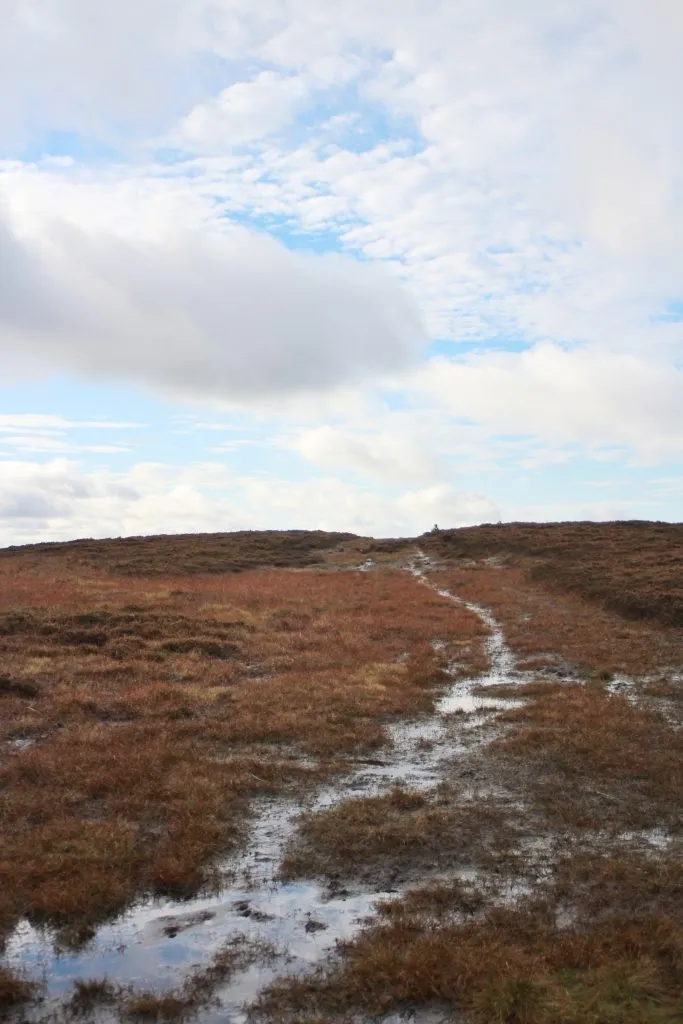 Boggy moorland in the Dark Peak at the top of Cock Hill