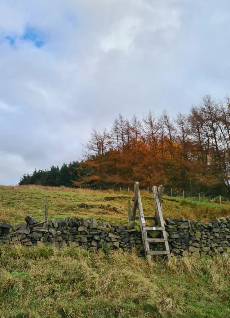 Stile leading back onto Woodhead Road
