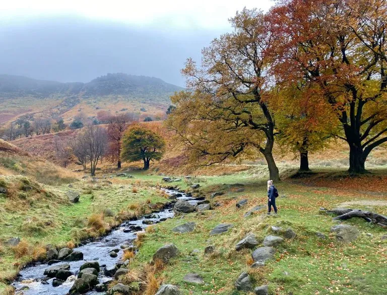 Dovestone Reservoir to Alphin Pike Trig Point Walk Views