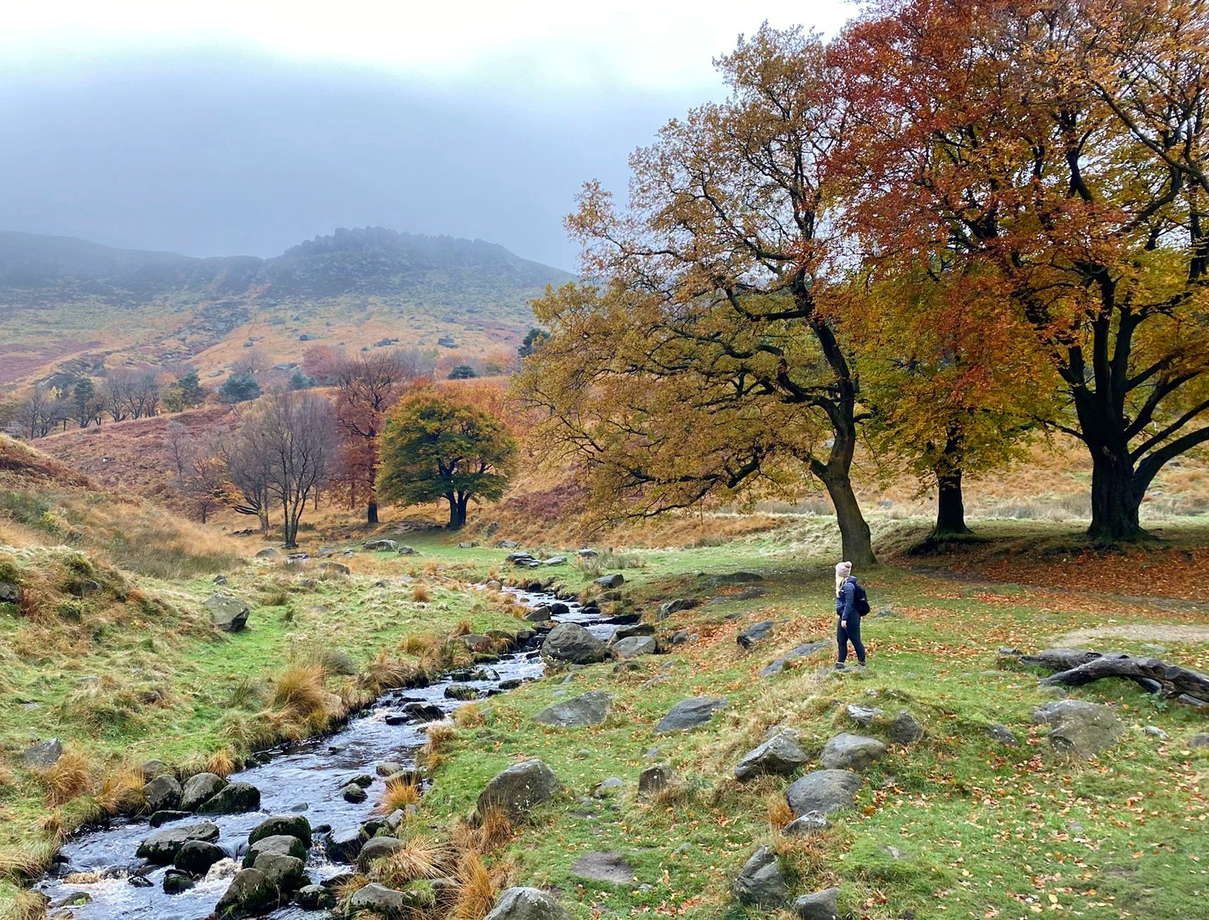 Dovestone Reservoir to Alphin Pike Circular Walk