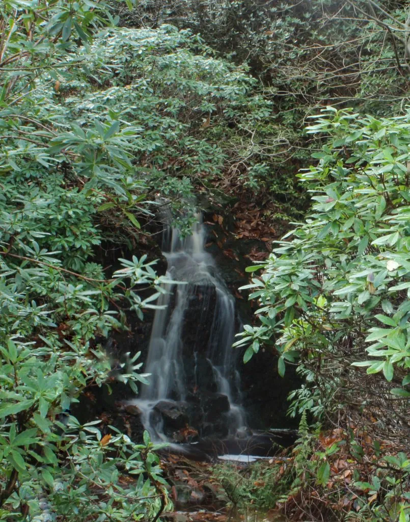 Hidden waterfall near Errwood Hall