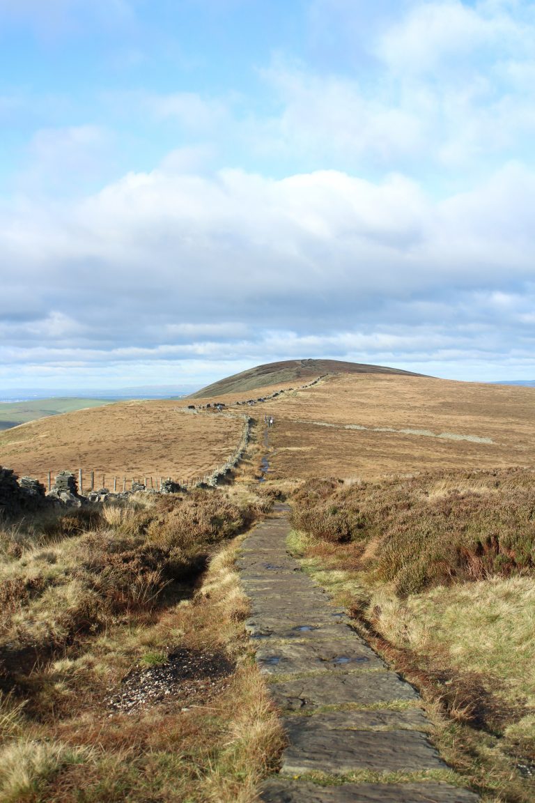 Cats Tor as seen from the path from Shining Tor trig point - circular walks from The Wandering Wildflower
