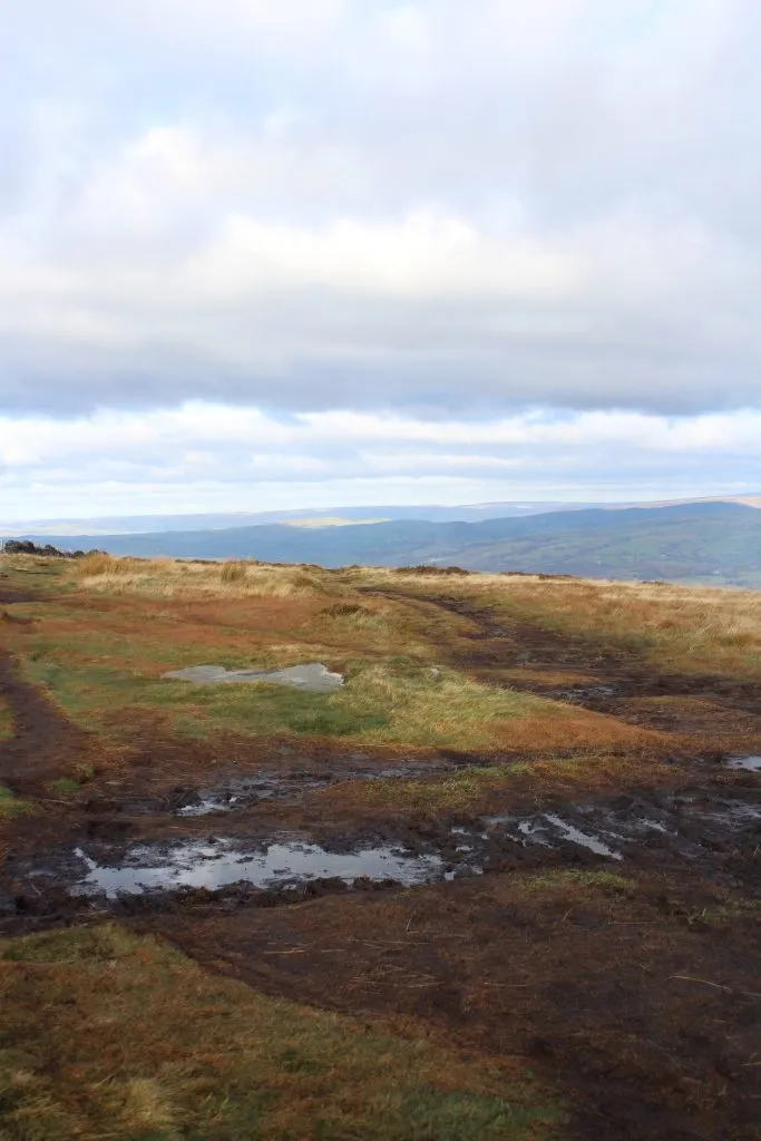 The summit of Cats Tor