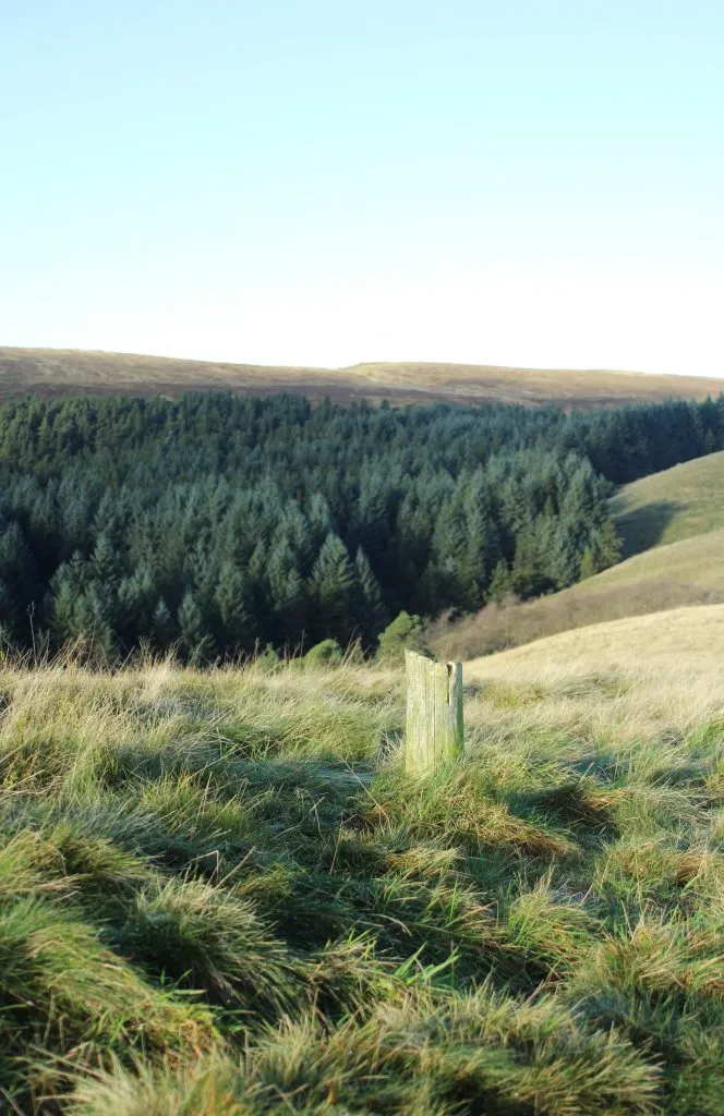 Stump of a post near the summit of Foxlow Edge, Peak District