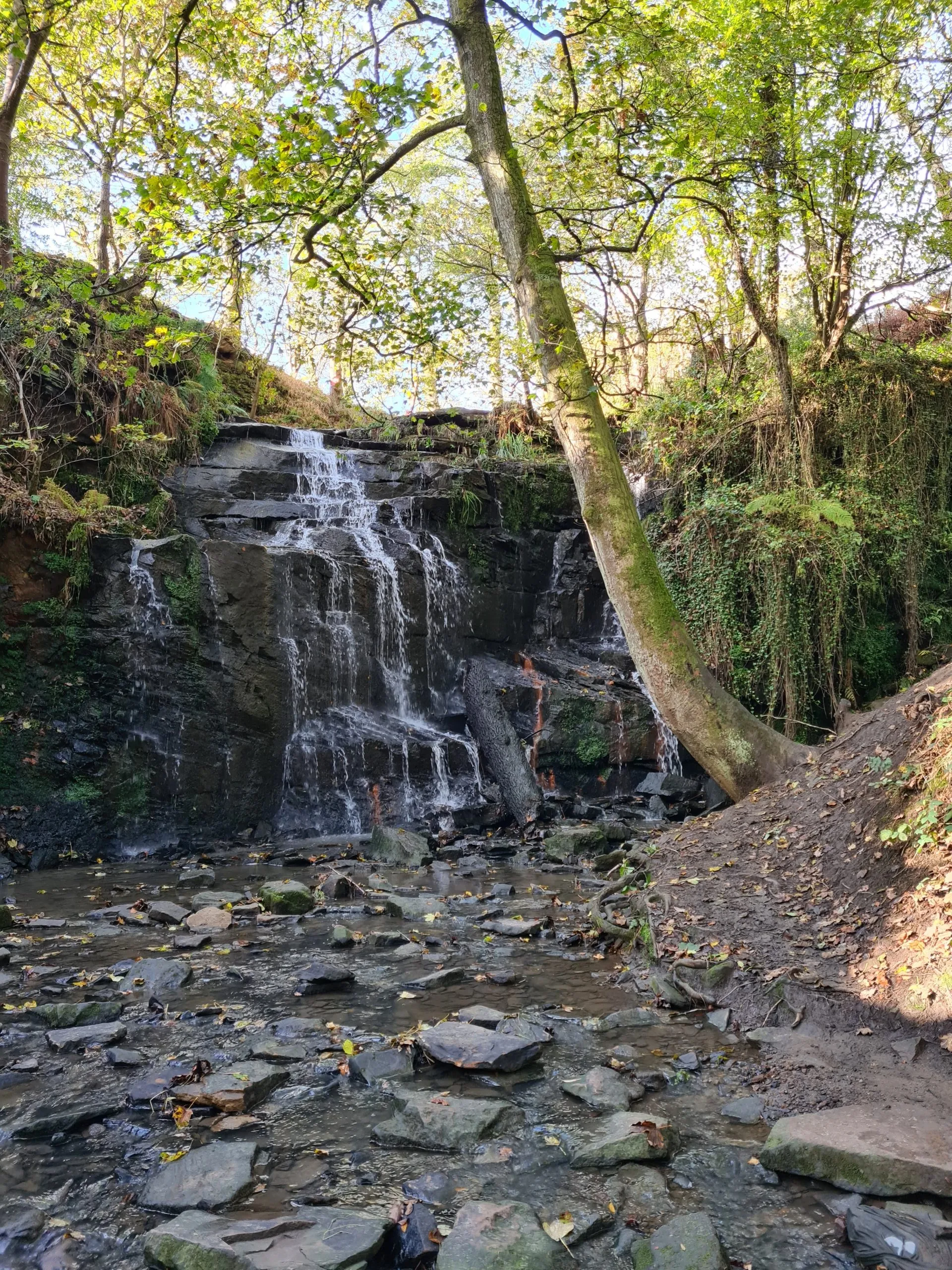 Folly Dolly Falls - Get the route map and where to park
